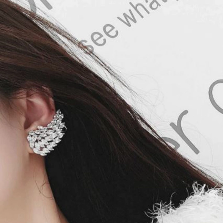 Picture of Silver Earrings Model 509 For Women