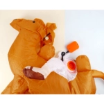 Picture of Inflatable Camel Set For Kids - Dishdasha & Red Shemagh With Agal & Gahfiya (With Name Embroidery)