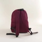 Picture of Large Maroon Classic School Bag For Kids (With Name Embroidery Option)
