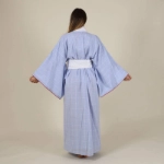 Picture of Capri Blue Kimono Dress For Women