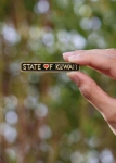 Picture of State Of Kuwait Magnetic Pin